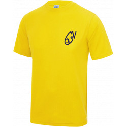 Volley ball tee-shirt sport...